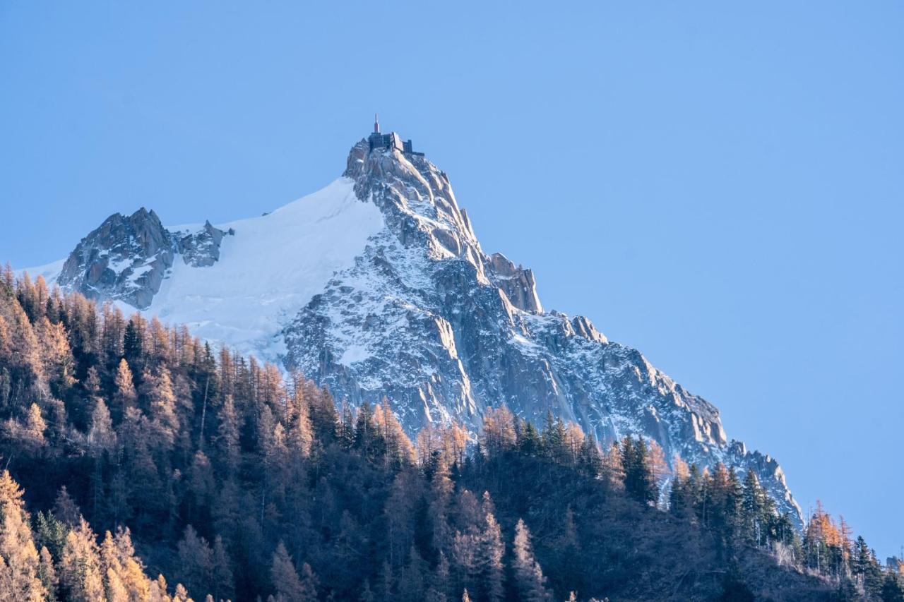 Chamonix Sud Studio With Mont Blanc Views Buitenkant foto