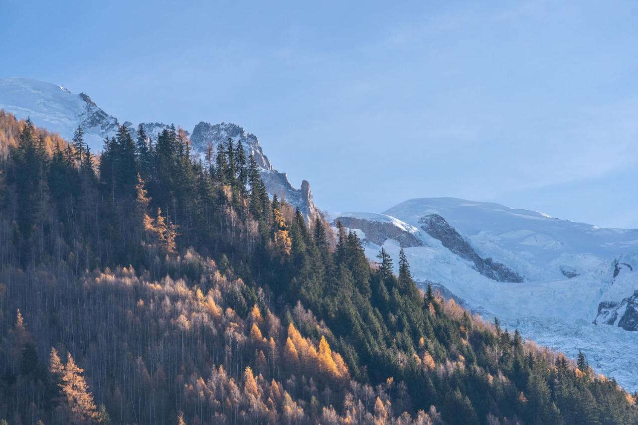 Chamonix Sud Studio With Mont Blanc Views Buitenkant foto
